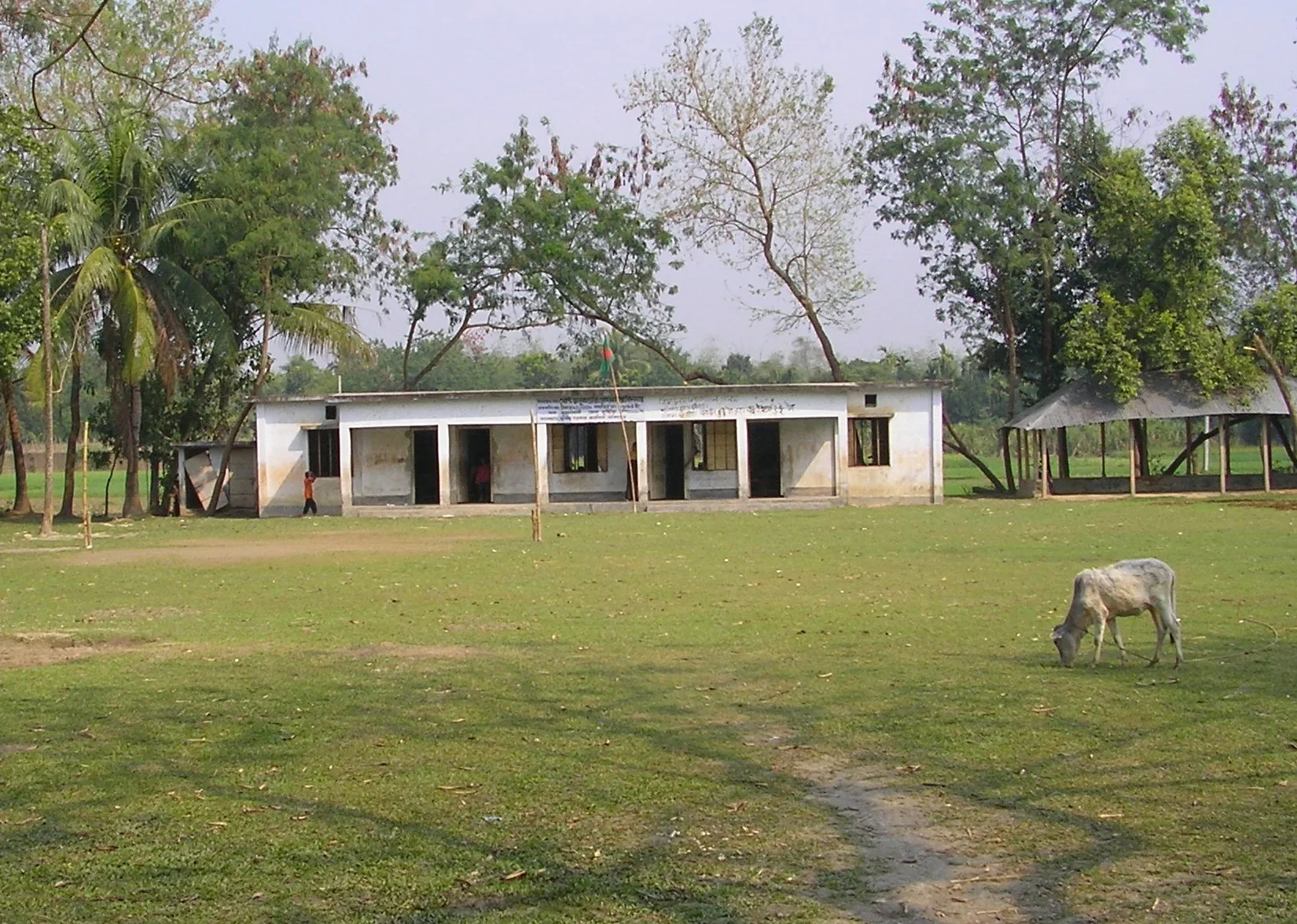 A village school and green surroundings in Kushtia, Bangladesh